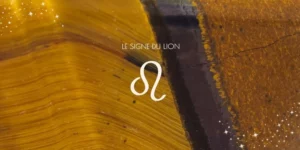Lire la suite à propos de l’article Les pierres naturelles pour le Lion