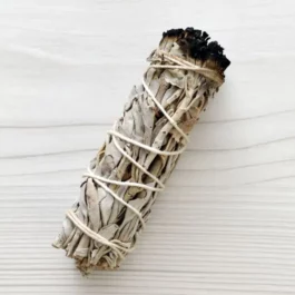 Bâton de Sauge Blanche