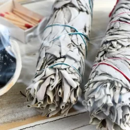 Bâton de Sauge Blanche