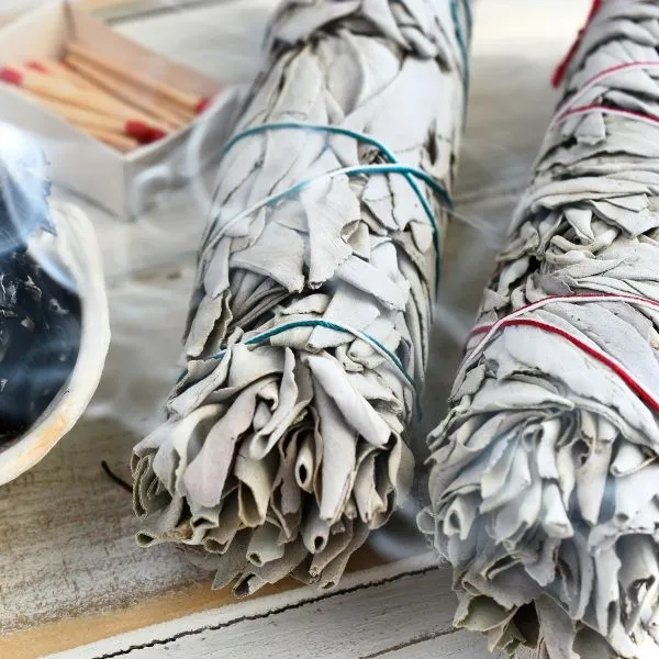 Bâton de Sauge Blanche – Image 2