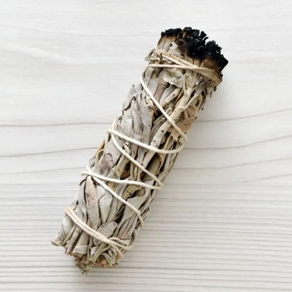 Bâton de Sauge Blanche